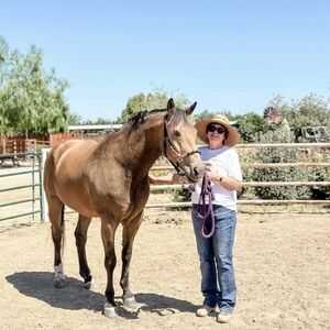 Meet your Posher, Debbie